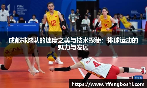 成都排球队的速度之美与技术探秘：排球运动的魅力与发展