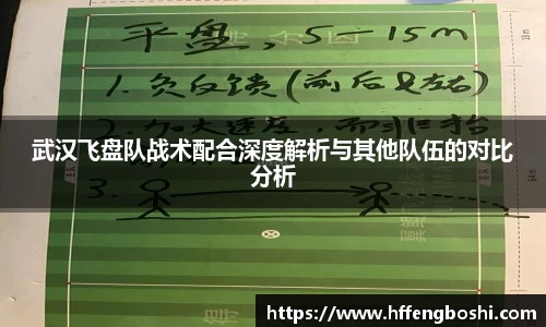武汉飞盘队战术配合深度解析与其他队伍的对比分析