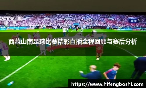 西藏山南足球比赛精彩直播全程回顾与赛后分析