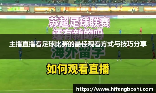 优游娱乐